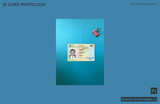 Sri Lanka ID-Foto-Beispielvorschau